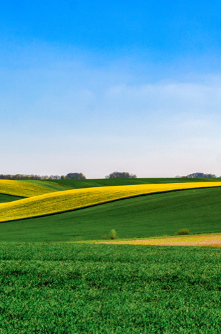 Apresentação Cultivio